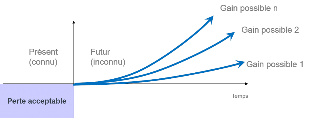 Principe Perte Acceptable