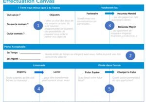 Effectuation Canvas